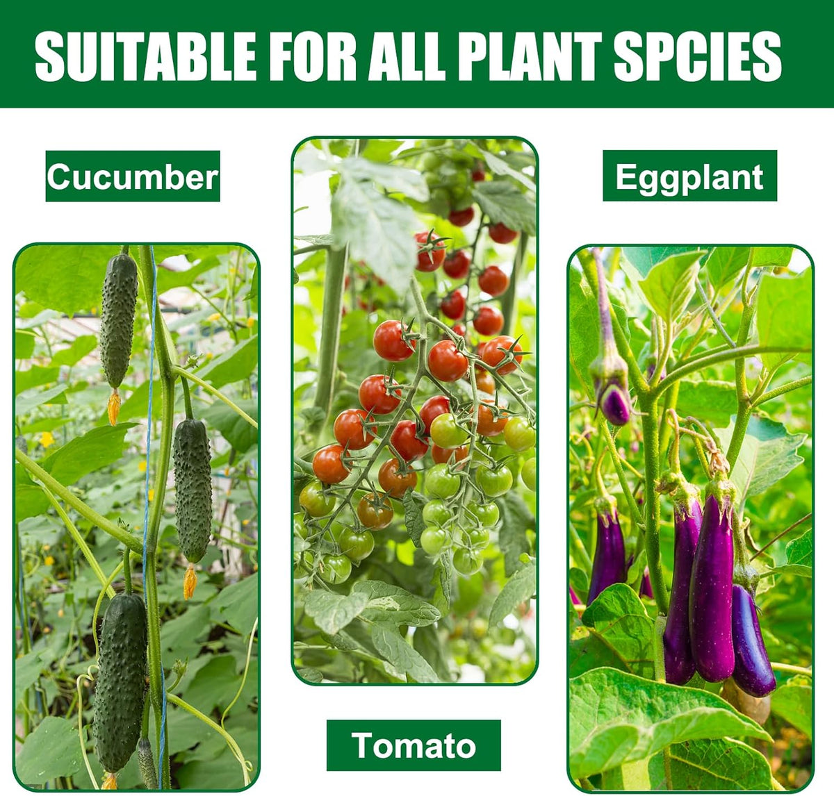 Garden Stakes 30 Inches Steel Plant Stakes Tomato Stakes Pack of 25