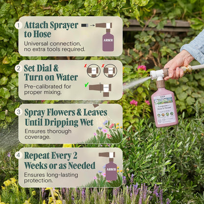 Organic Fungicide for Rose & Flower | 16oz Ready-to-Spray | Controls Powdery Mildew, Black Spot