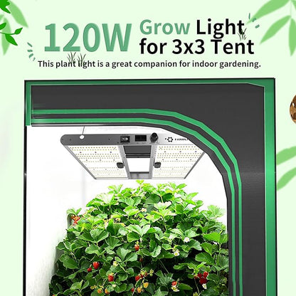 FARMLITE Grow Light for Indoor Plants Quantum Board Grow Light Full Spectrum Led Grow Lights