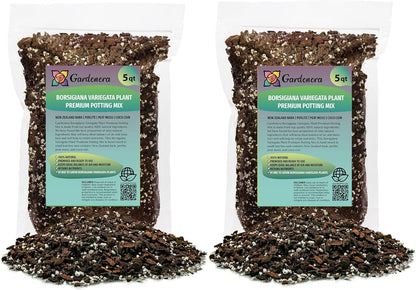 GARDENERA Monstera Borsigiana Planting Mix - Promotes Steady Growth and Vibrant Leaves - 10 Quart