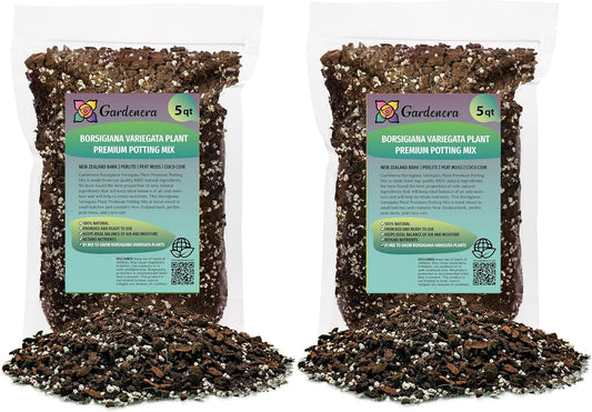 GARDENERA Monstera Borsigiana Planting Mix - Promotes Steady Growth and Vibrant Leaves - 10 Quart