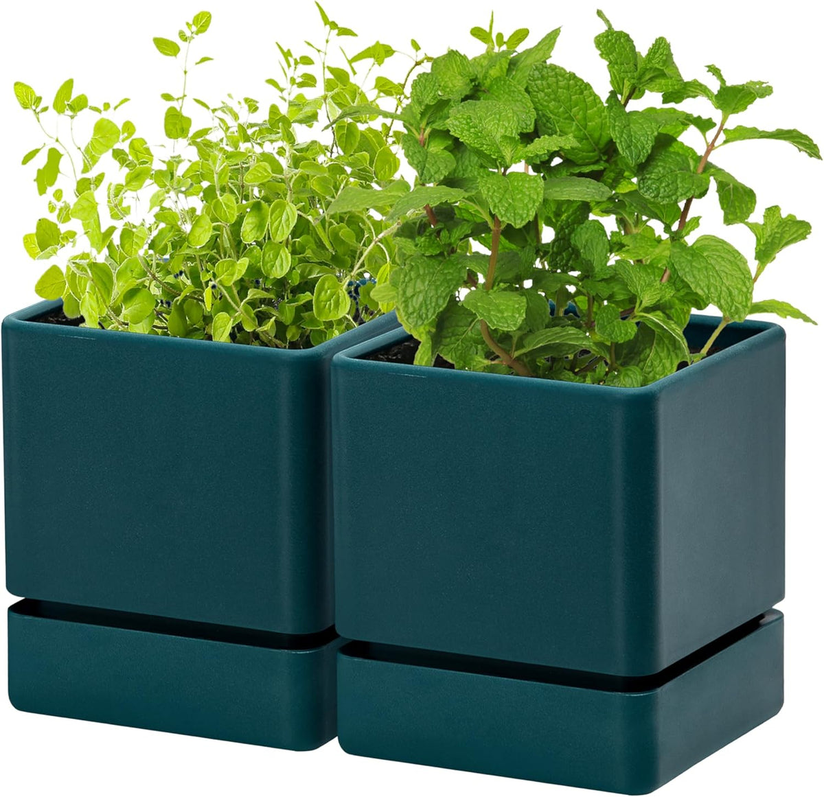 4 Inch Herb Planter Pot, Plastic Planter with Drainage Holes and Saucer, Modern Decorative