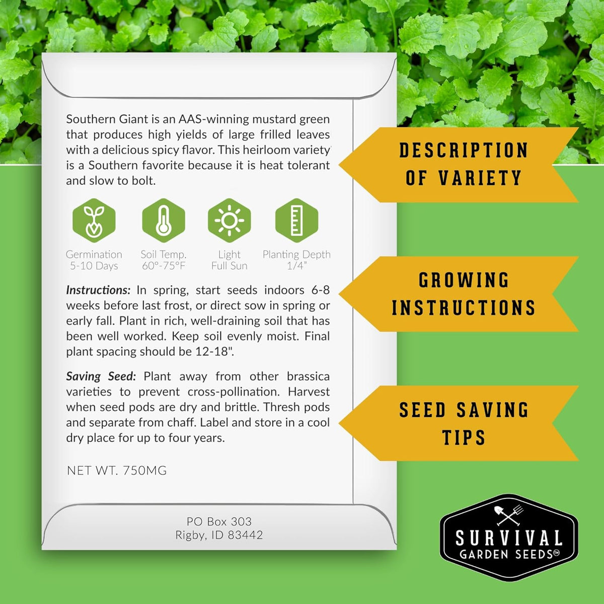 Southern Giant Mustard Green Seeds for Planting – Heirloom Non-GMO Spicy Greens, Heat Tolerant and