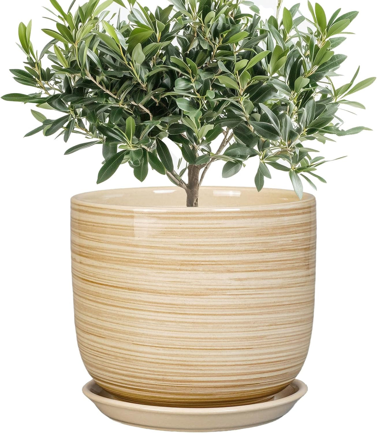 Indoor Plant Pot 8 Inch - Cylinder Modern Ceramic Planter for Indoor Outdoor Plants with Drainage
