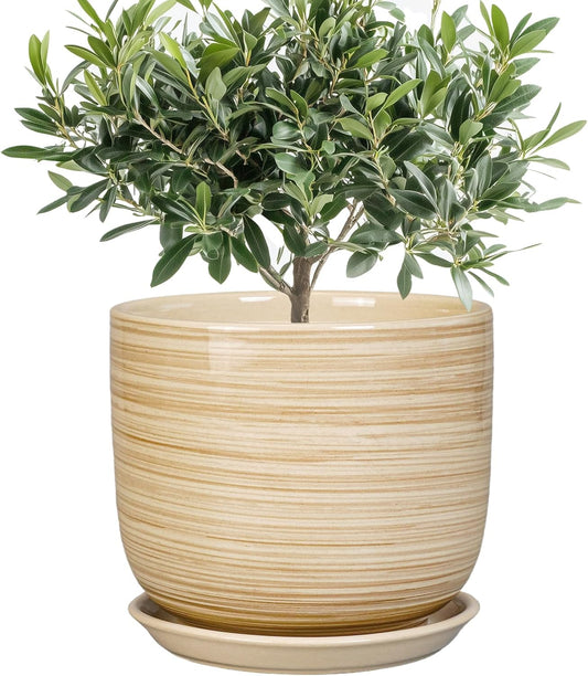 Indoor Plant Pot 8 Inch - Cylinder Modern Ceramic Planter for Indoor Outdoor Plants with Drainage