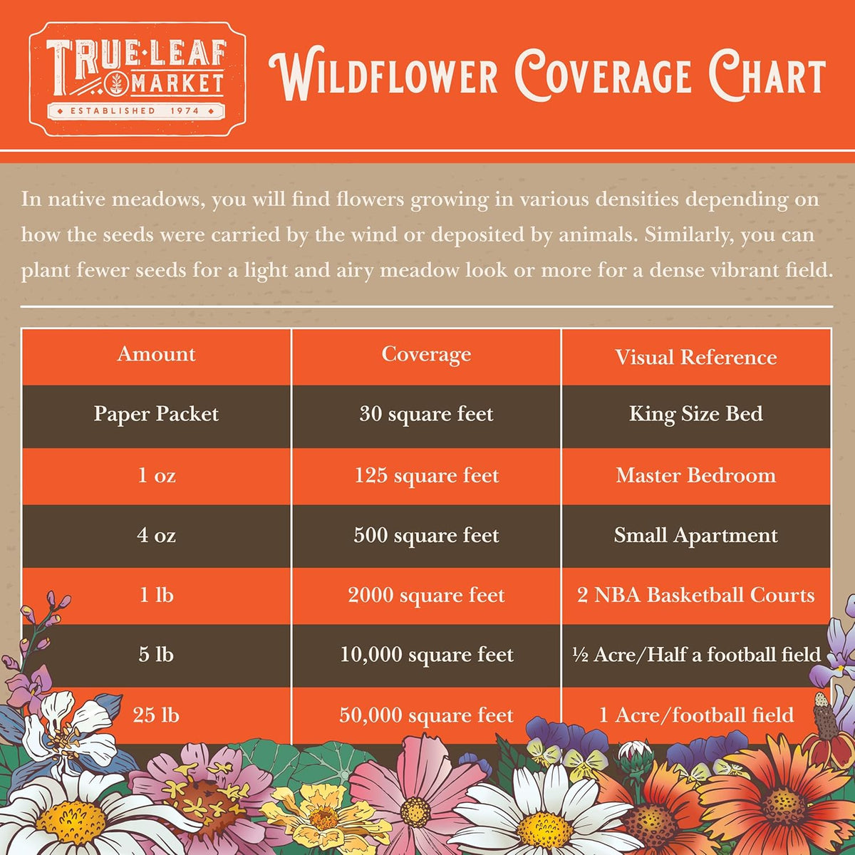 All Annual Wildflower Mix Seed for Planting - 1 Lb ~16,000+ Seeds - 21 Varieties Including