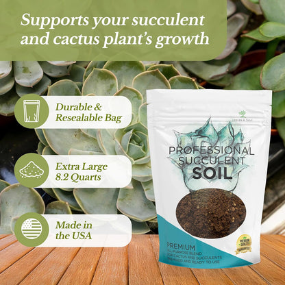 Extra Large 8.2 QT Bag Succulent Soil Premium All Purpose Blend | Pre-Mixed Ready to Use for Cactus