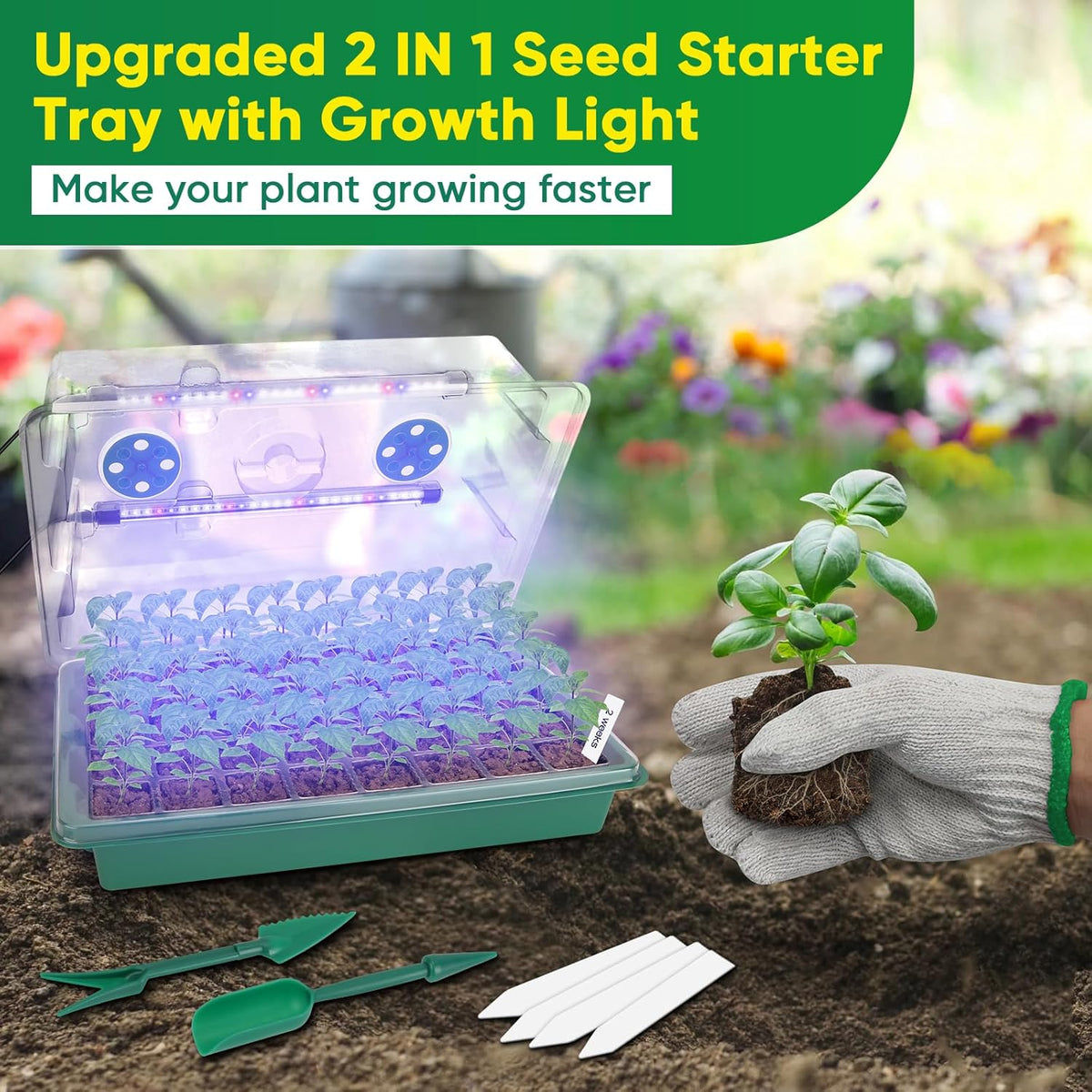 BlumWay Seed Starter Tray with Grow Light,80-Cells Seedling Tray with Humidity Dome/Indoor Grow