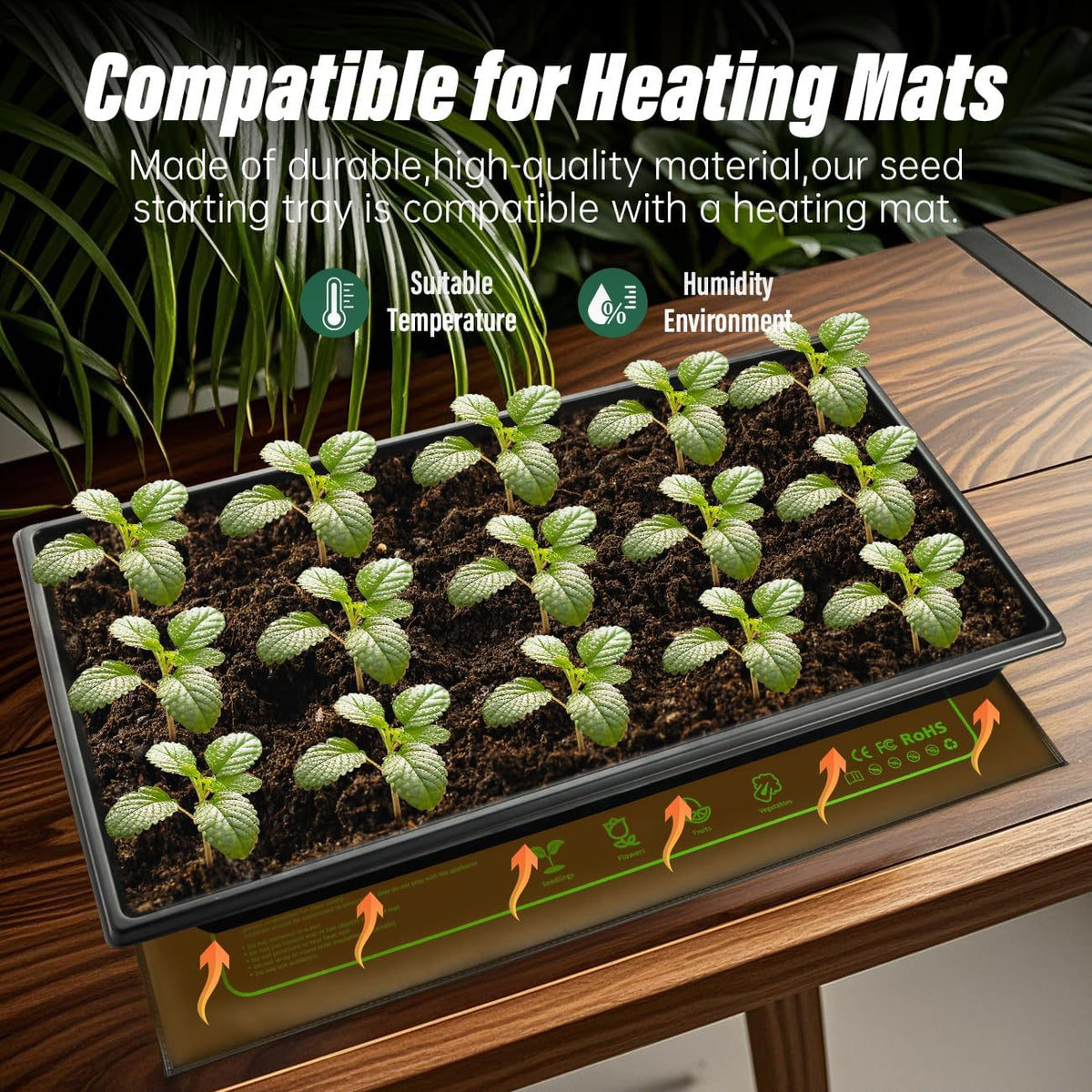 Seed Starter Kit - 10 Pack 1020 Seed Trays with 2 Seedling Heat Mats for Plants (10"x20.5")