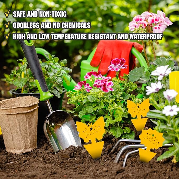 48PCS Fruit Fly Sticky Traps, Fungus Gnat Traps Insect Trap for Plants Kitchen Indoor and