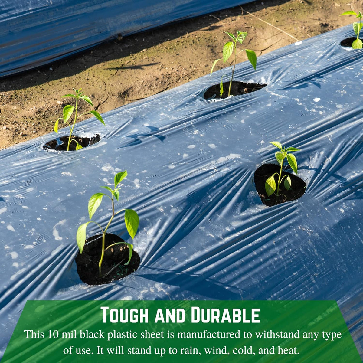 Farm Plastic Supply - Black Plastic Sheeting - 10 mil - (2.5' x 100') - Polyethylene Vapor Barrier