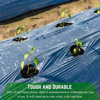 Farm Plastic Supply - Black Plastic Sheeting - 10 mil - (2.5' x 100') - Polyethylene Vapor Barrier