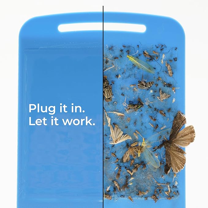 Wondercide - Flying Insect and Fly Trap - Indoor Bug Catcher for Fruit and House Flies, Gnats