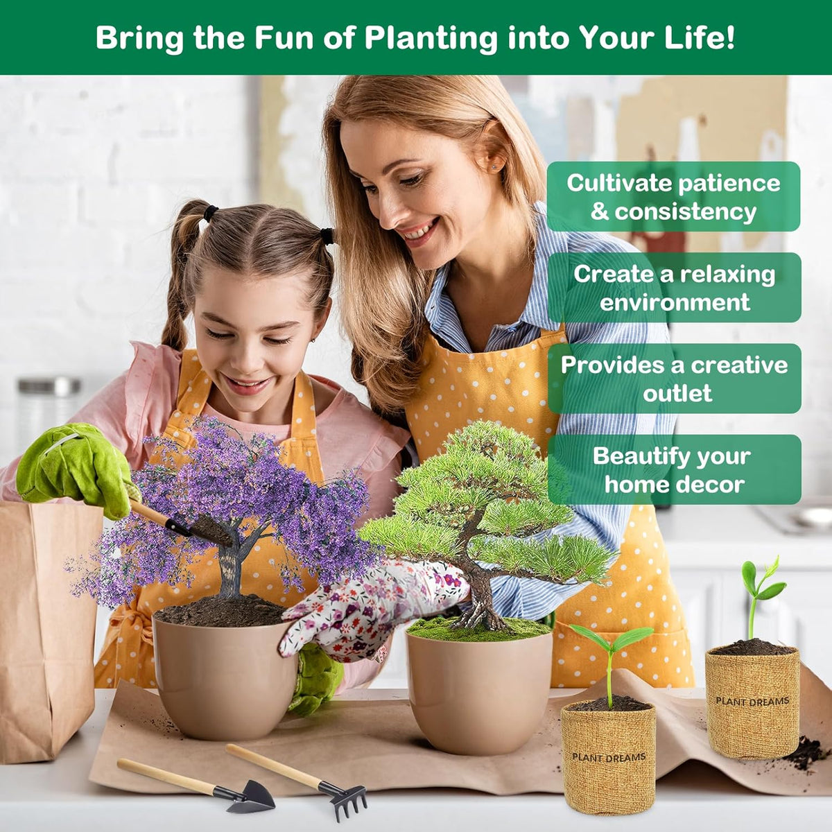 Bonsai Tree Kit, Complete Bonzai Tree Starter Kits with Tools, Unique DIY Gardening Gifts for Mom