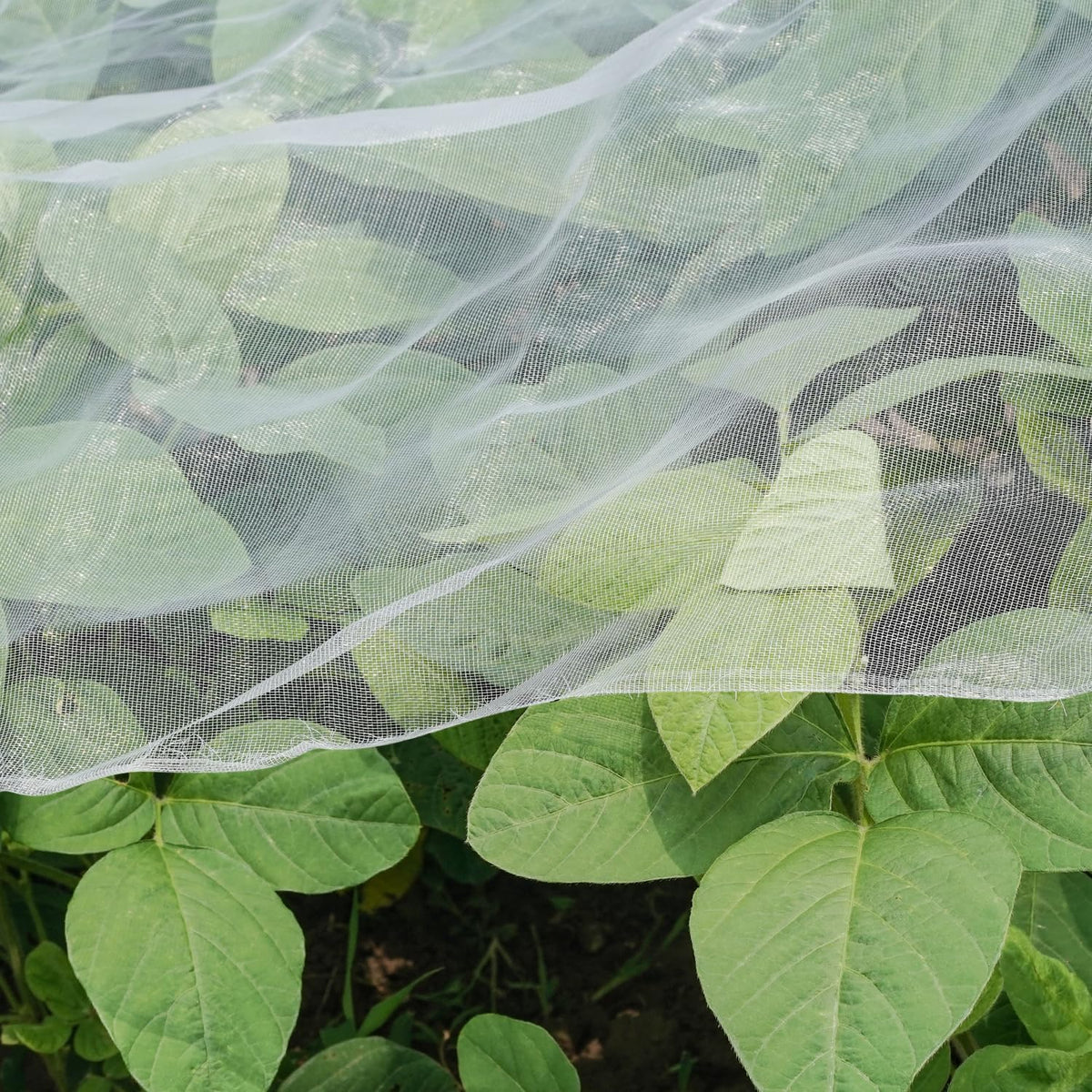 Ultra Fine Garden Netting, 4'x10' Plant Netting Pest Barrier for Garden Protection Row Cover Raised