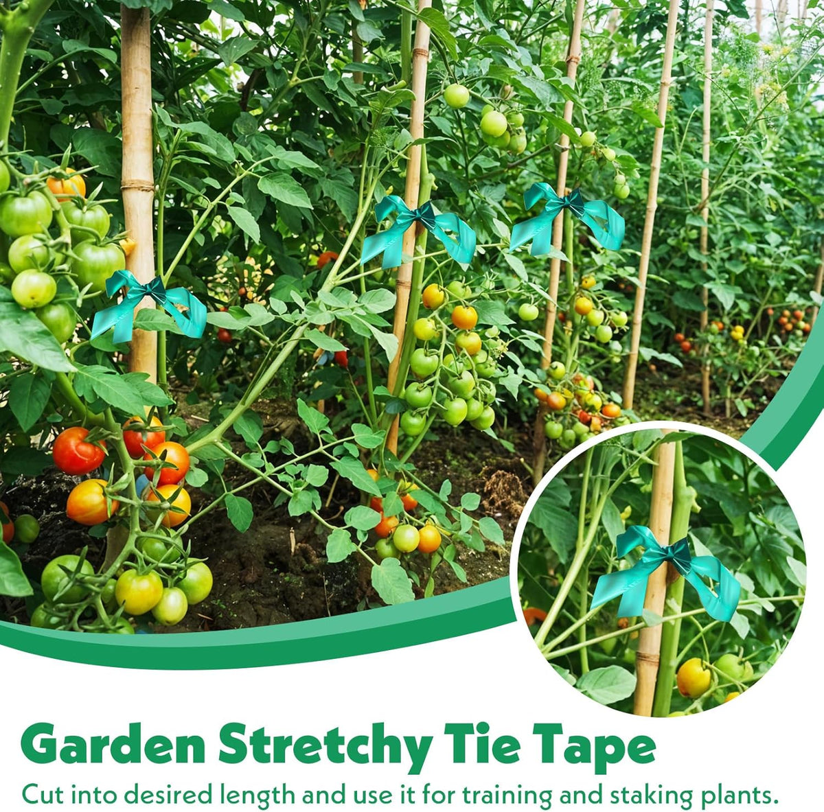 24 Pcs Stretch Tie Tape, 150 Feet x 1/2" Wide Reusable Garden Plant Ties Green Tapes for Plants