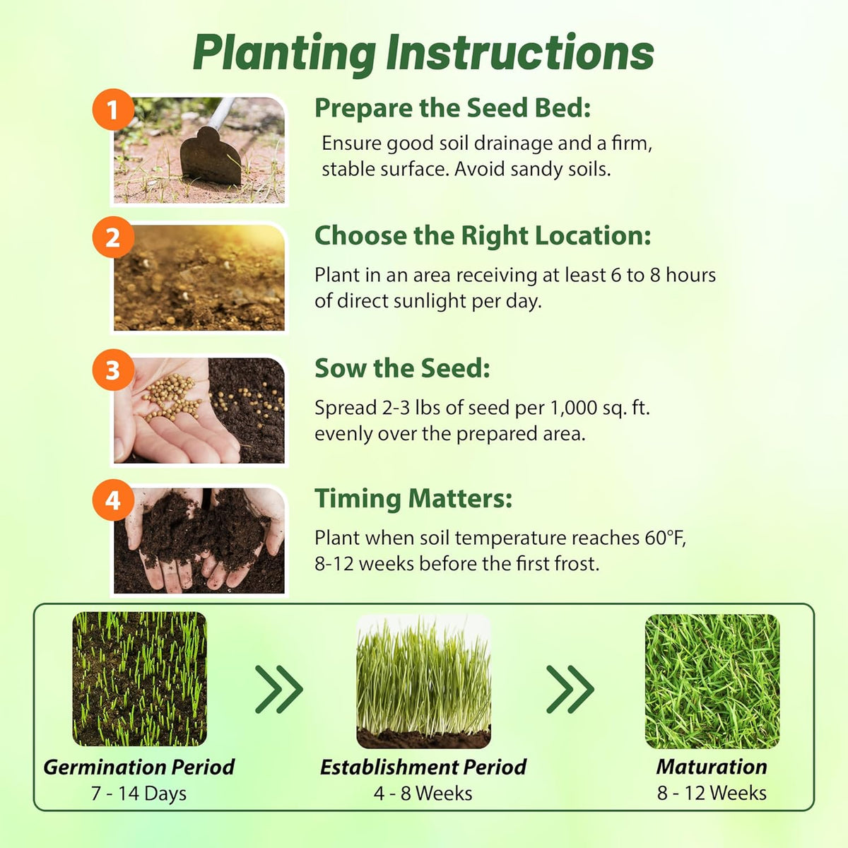 Outsidepride Perennial Buffalo Grass Seed - 5 lbs Heat & Drought Tolerant, Low Maintenance, Warm