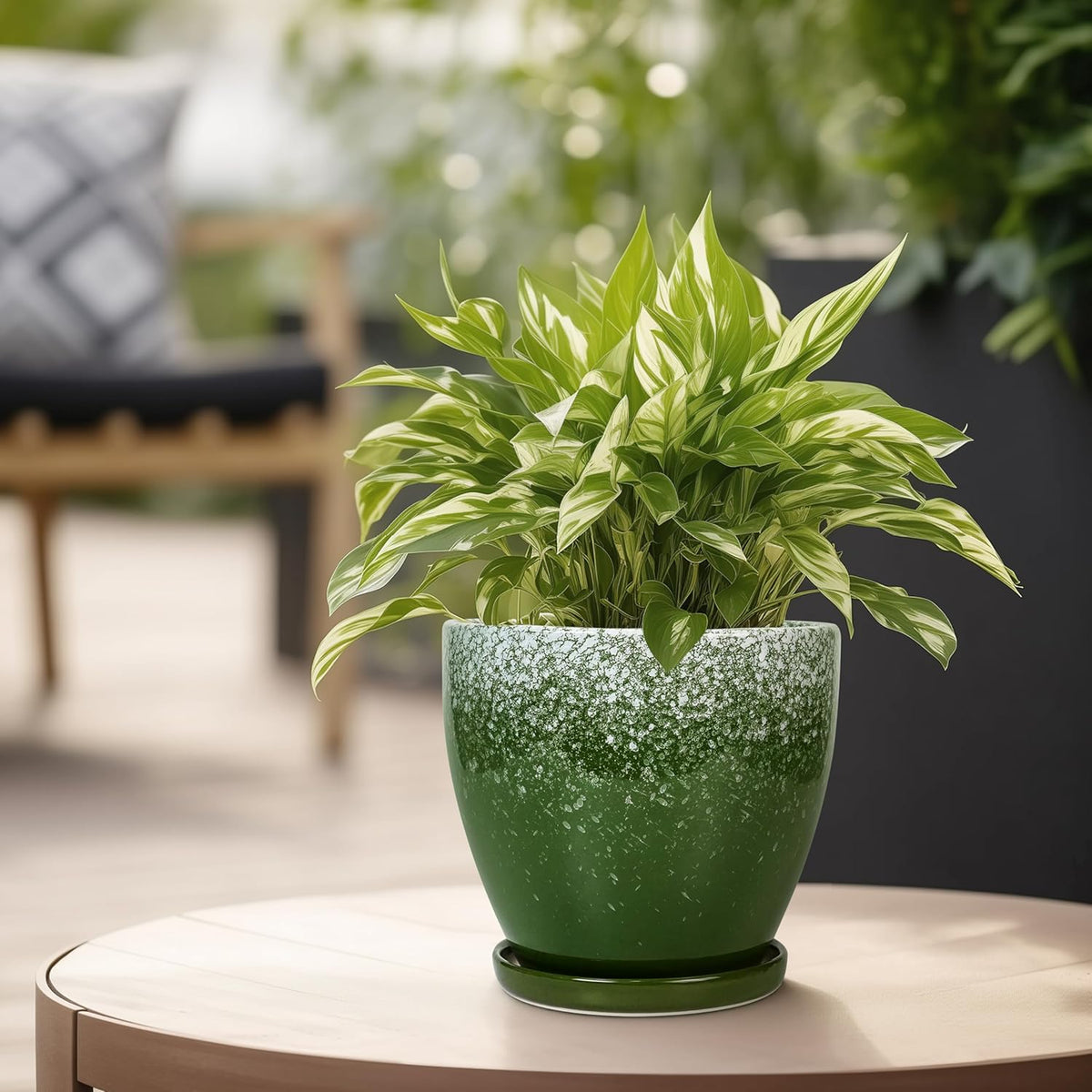 Ceraimc Plant Pot - 6 Inch Planter with Drainage and Plant Tray, Round Succulent Planters