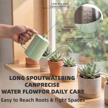 Amzgo 2 Pack Small Watering Can for Indoor Plants, 20 oz Metal Plant Watering Can with Long Spout