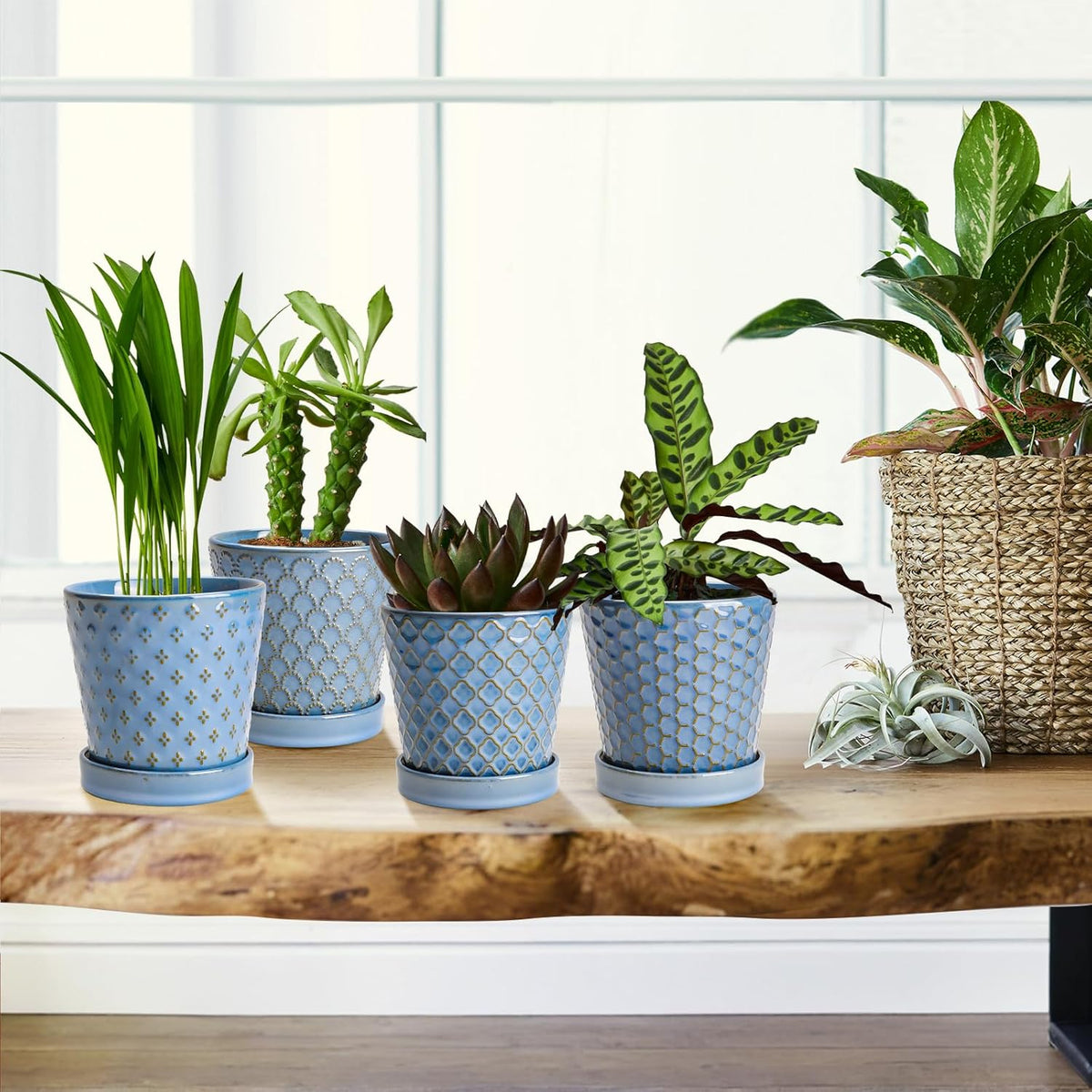 Plant Pots, 5 Inch Pots for Indoor Plants, Planters with Drainage Hole and Saucer, Ceramic Flower