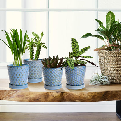 Plant Pots, 5 Inch Pots for Indoor Plants, Planters with Drainage Hole and Saucer, Ceramic Flower