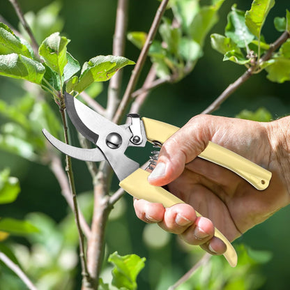 Chumia 6 Pcs Garden Pruning Shears Flower Shears Handheld Heavy Duty Garden Scissors Stainless