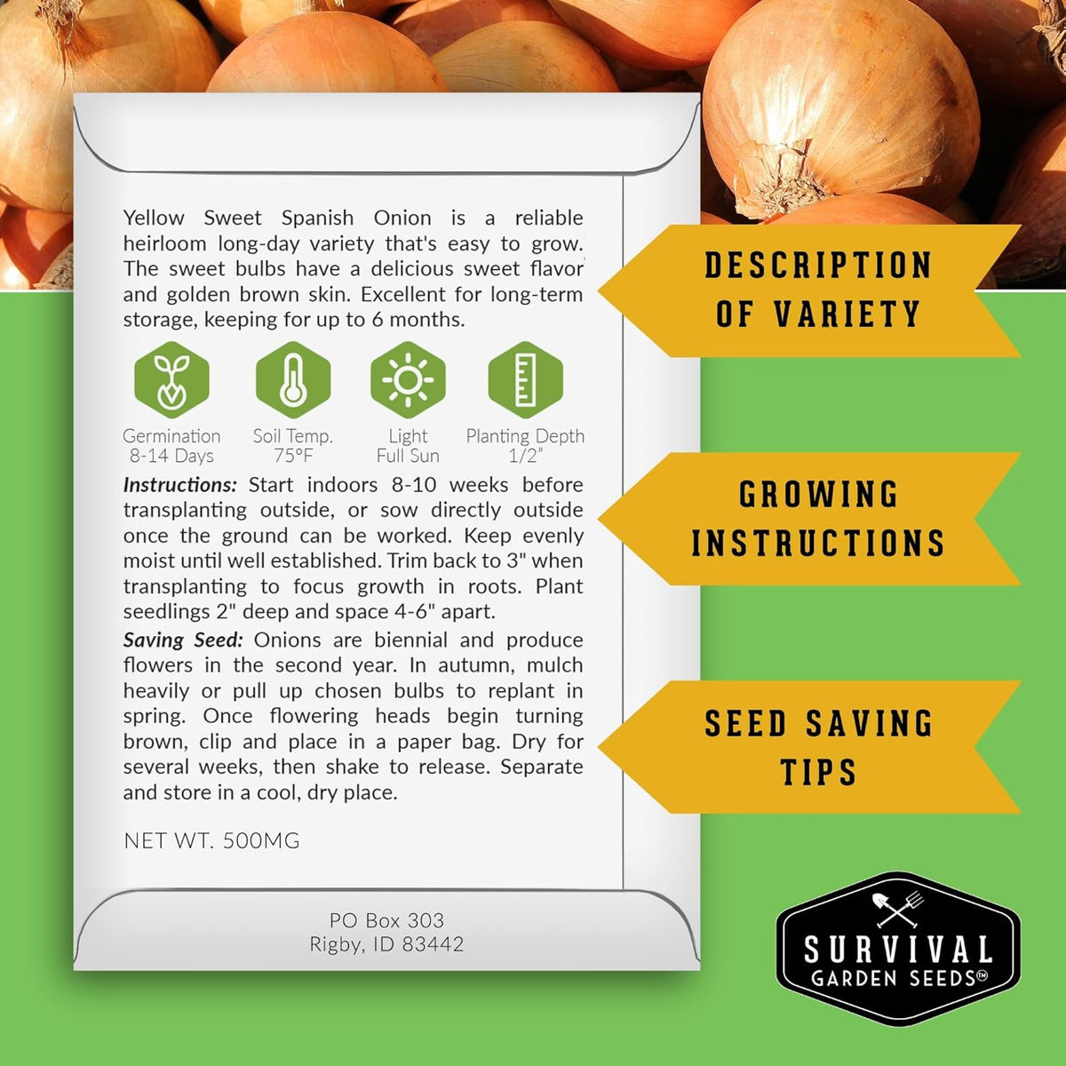 Yellow Sweet Spanish Onion Seed for Planting - 2 Packets with Instructions to Plant and Grow Long