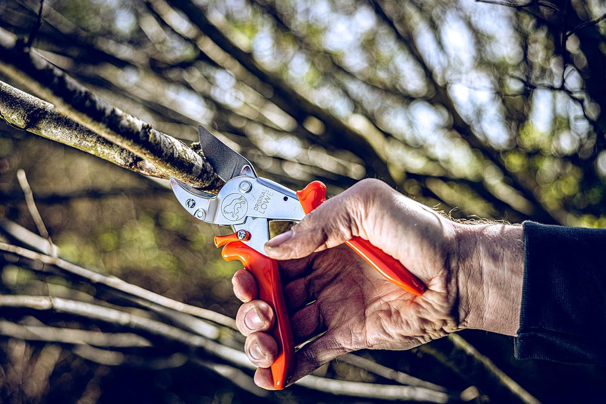 Original LÖWE 10 Professional Anvil Pruning Shears 10.107 with Bypass Geometry - Innovative Sharp