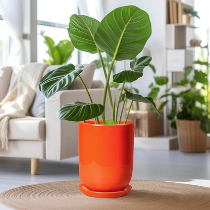 Ceramic Planter - 8 Inch Plant Pot with Drainage Hole and Saucer, Cylinder Round Modern Flower Pot