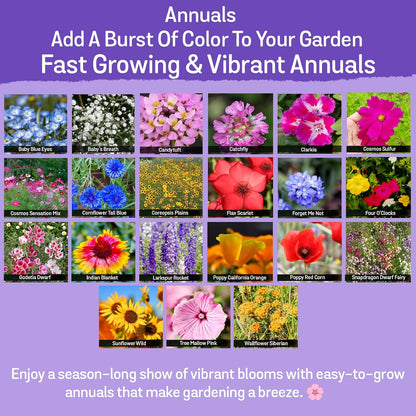 NatureZ Edge Wildflower Seeds Mix – 2 Oz, 85,000 Seeds, 35 Variety Perennial & Annual Flower Seeds