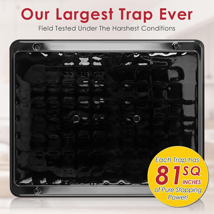 Qualirey 10 Pack Jumbo Rat & Mouse Glue Traps, 11.8 X 9.84 in Large Heavy Duty Mouse Traps Indoor