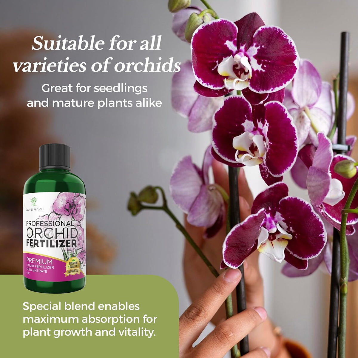 Professional Liquid Indoor Orchid Fertilizer | 3-1-2 Concentrate for Plants and Flowers |