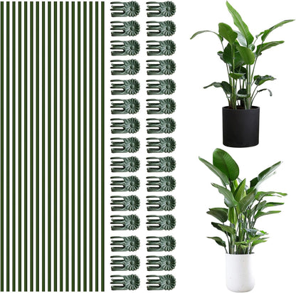 50Pcs Plant Stake Clip Set Green, Plant Sticks Supplies Support Tall, Useful Support Clips, Fine