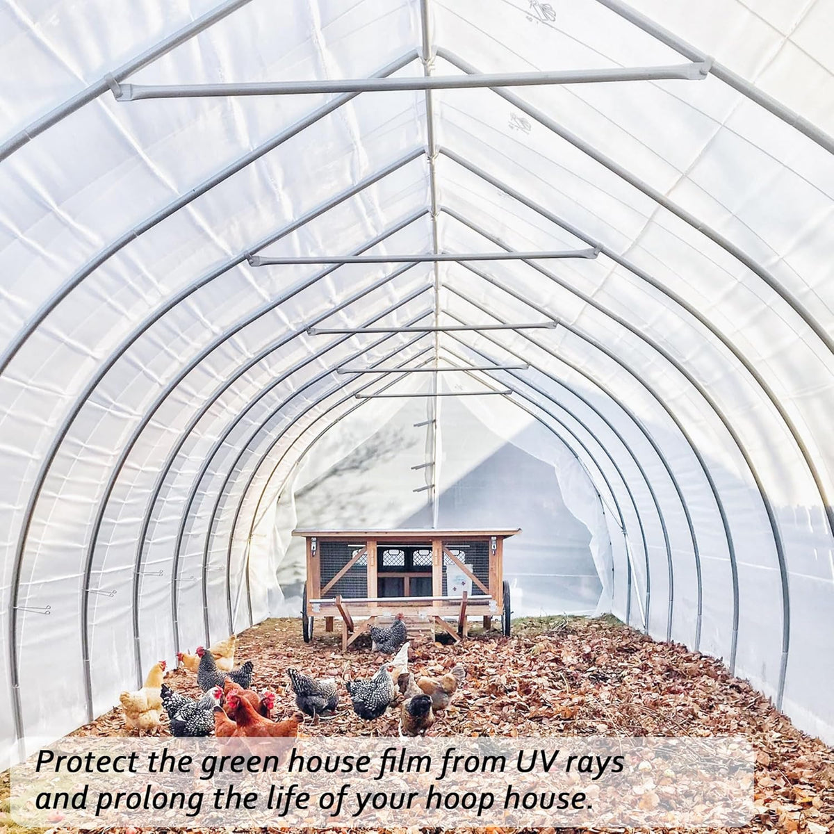 6 Mil Clear Greenhouse Plastic Sheeting,9.8FTx19.7FT Transparent Plastic Film for Greenhouse