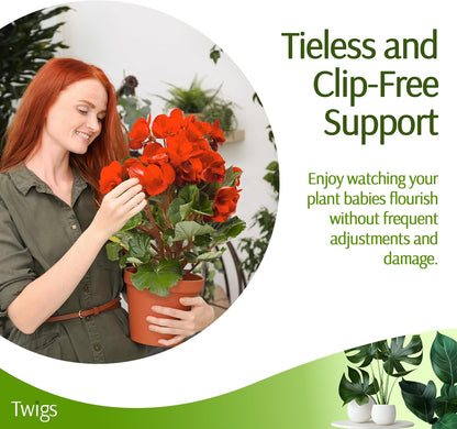 Plant Support Stakes, Stem Holder Structures for Indoor & Outdoor Use, Garden Accessories for