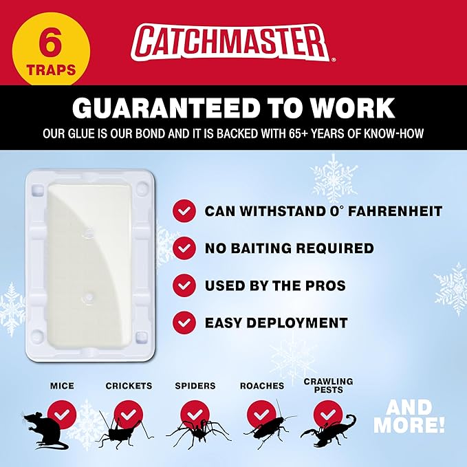 Catchmaster Freeze Resistant Glue Traps 6PK Mouse Traps Indoor for Home, Pest Control Adhesive