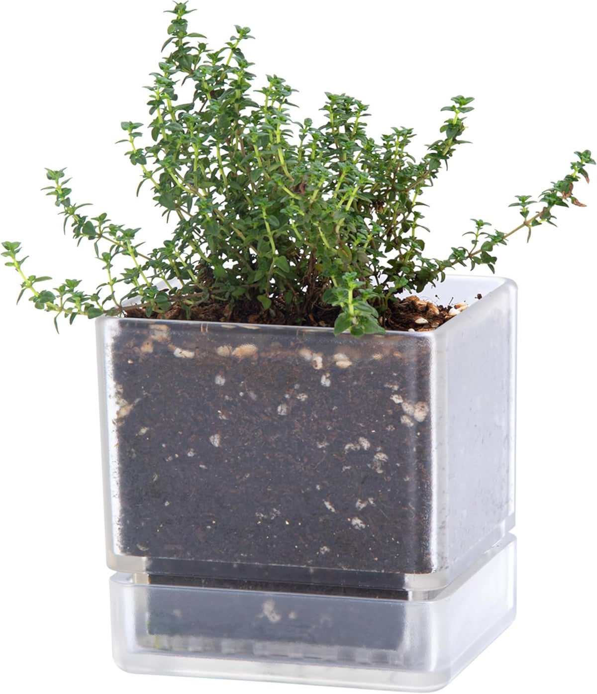 4 Inch Herb Planter Pot, Plastic Planter with Drainage Holes and Saucer, Modern Decorative