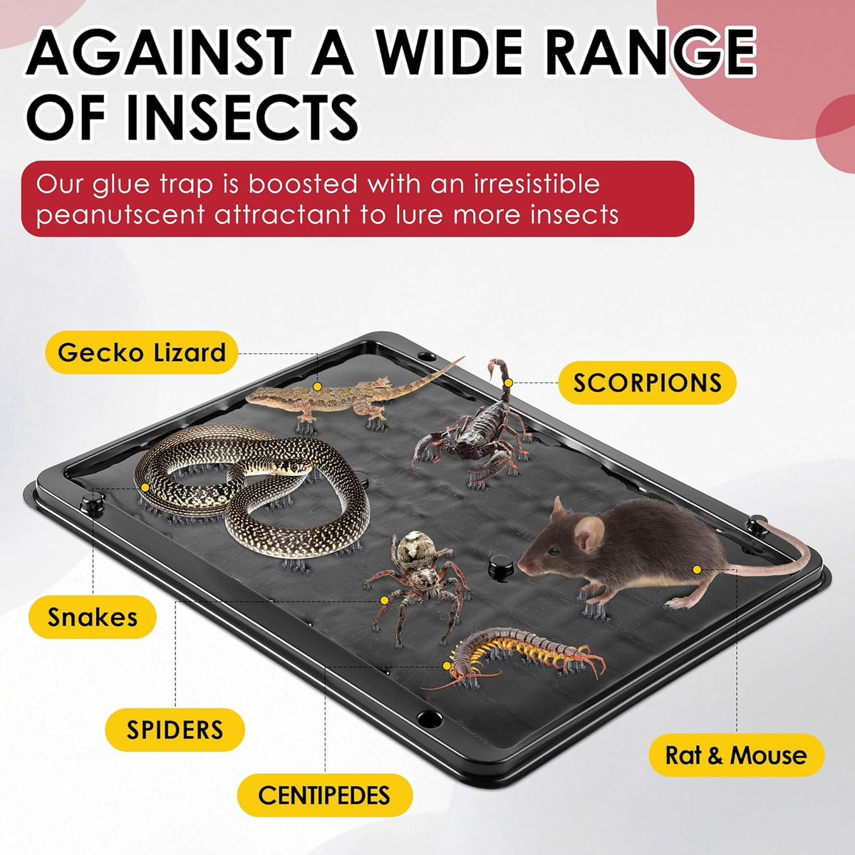 Qualirey 10 Pack Jumbo Rat & Mouse Glue Traps, 11.8 X 9.84 in Large Heavy Duty Mouse Traps Indoor