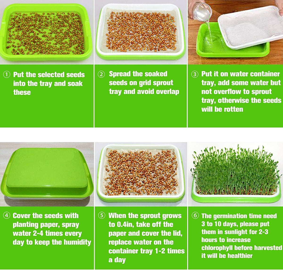 Legigo 5 Pack Seed Sprouter Trays with Lids- Soil-Free Cultivation Germination Tray, BPA Free Micro
