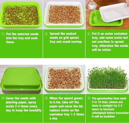 Legigo 5 Pack Seed Sprouter Trays with Lids- Soil-Free Cultivation Germination Tray, BPA Free Micro