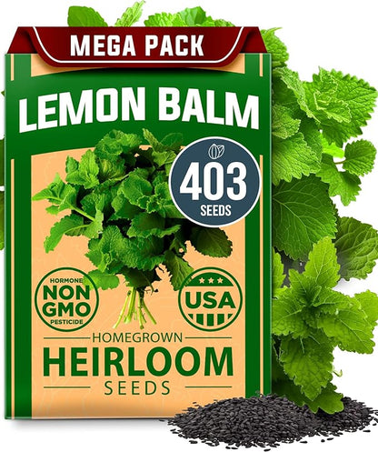 HOME GROWN 𝗨𝗦𝗔 𝗣𝗥𝗘𝗠𝗜𝗨𝗠 Lemon Balm Seed Pack - 403 Non-GMO USA Heirloom Herbal Tea Seeds