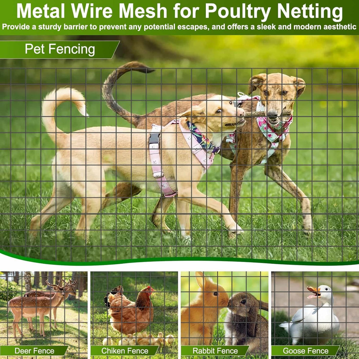 Black Welded Wire Fence 36 Inch x 59 Foot, 2.4" x 2.4" 14GA PVC Coated Wire Fencing for Garden Bed