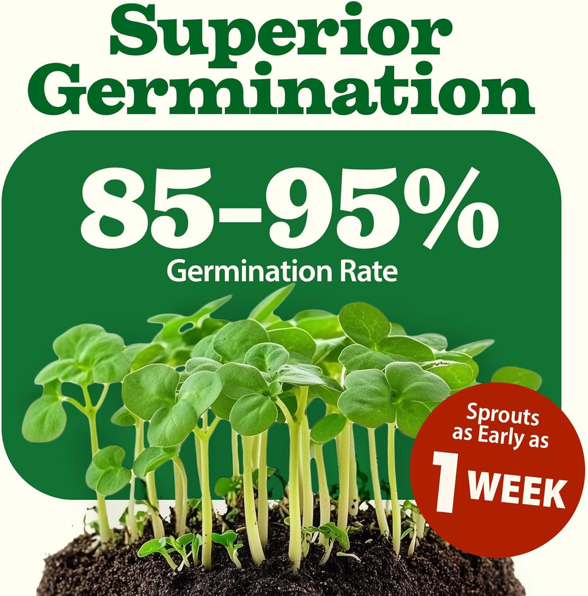 HOME GROWN 70 Variety Vegetable & Herb Seeds – 32,000+ USA Non-GMO Heirloom Survival Seeds –Garden