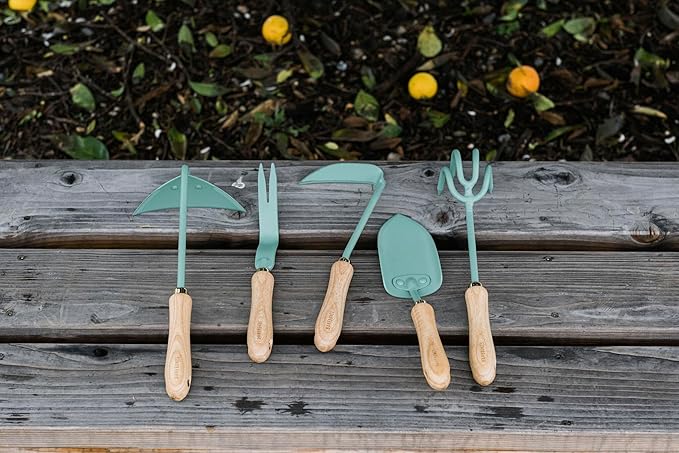 Barebones Triangle Hoe - Stainless Steel Blade Japanese Gardening Tools for Weeding Long Handle and