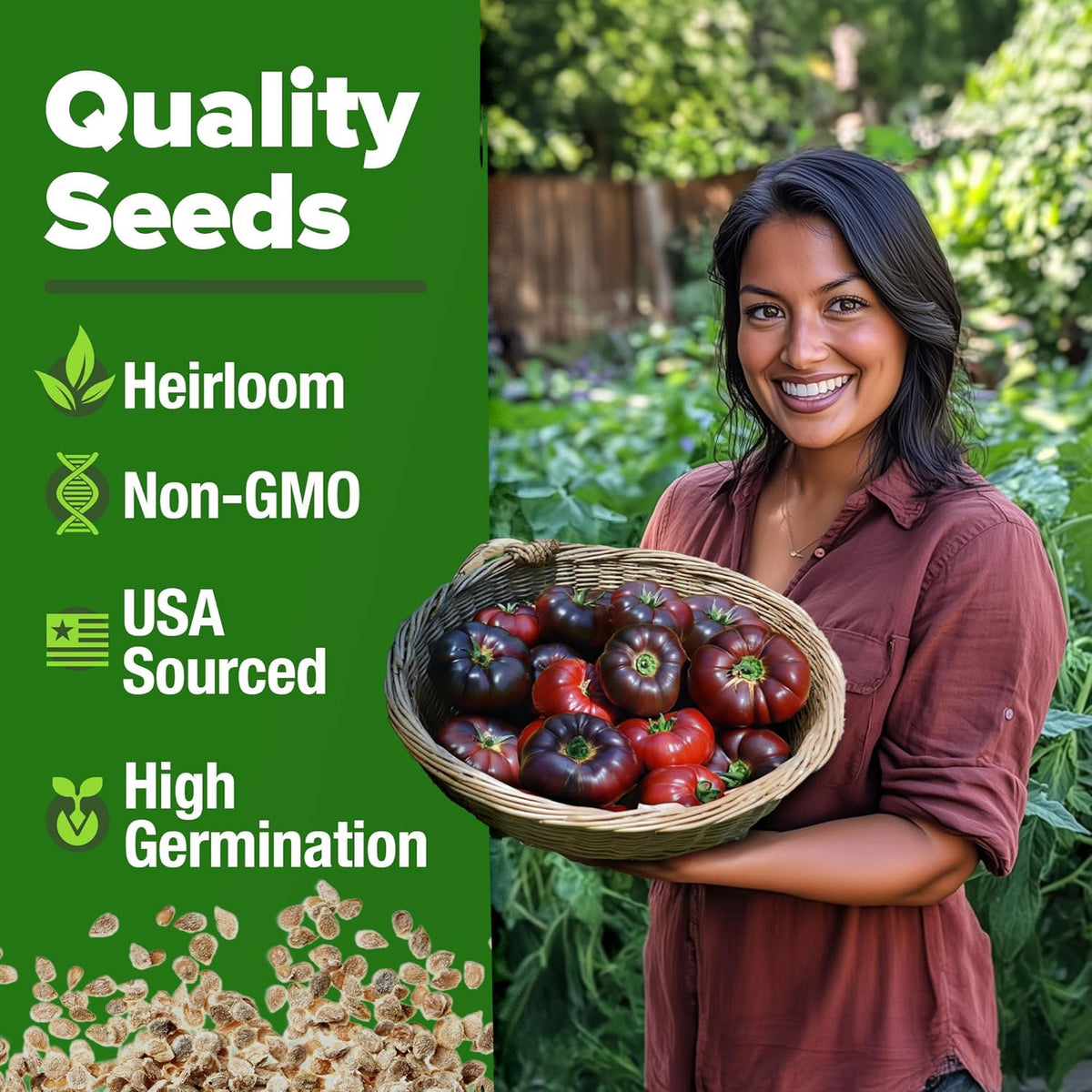 HOME GROWN Cherokee Purple Tomato Seeds 2 Pack (Solanum lycopersicum) - 212 Seeds, 𝗡𝗢𝗡-𝗚𝗠𝗢