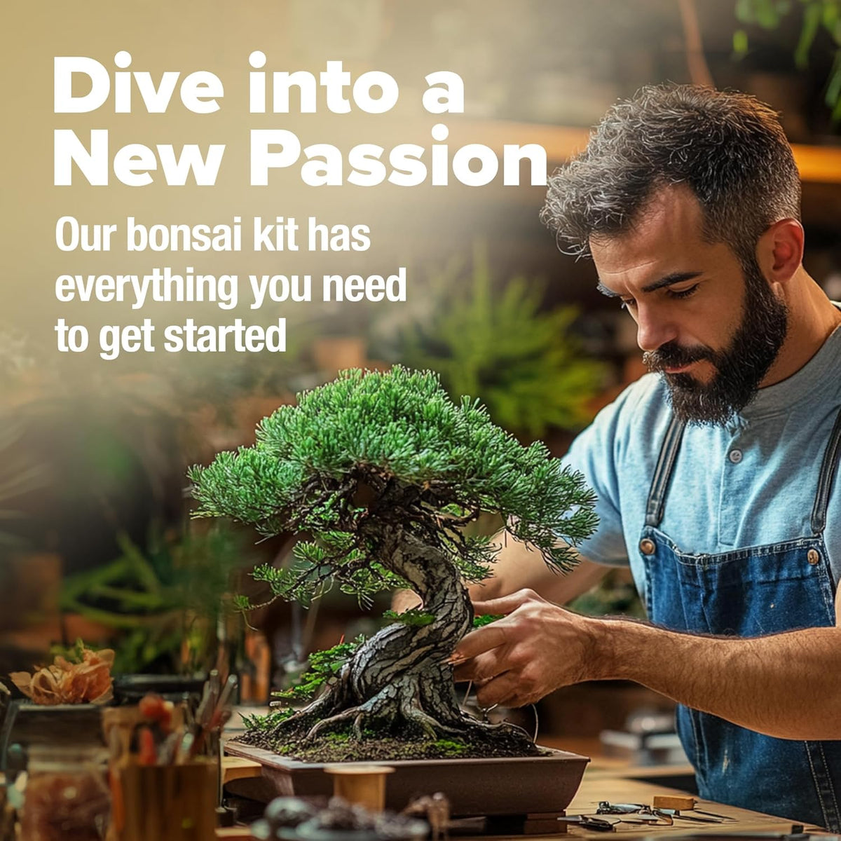 HOME GROWN Bonsai Tree Kit – Grow 4 Bonsai Types Indoors with Complete Starter Kit Including Pots