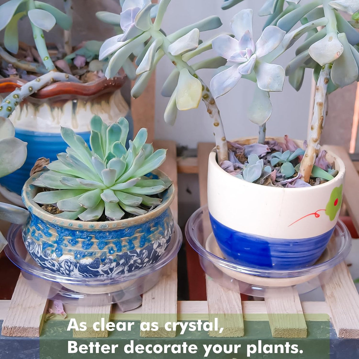Plant Saucer 30 Pack Plant Trays for Pots 4/6/8 Inch Plastic Plant Saucers for Outdoors and Indoors