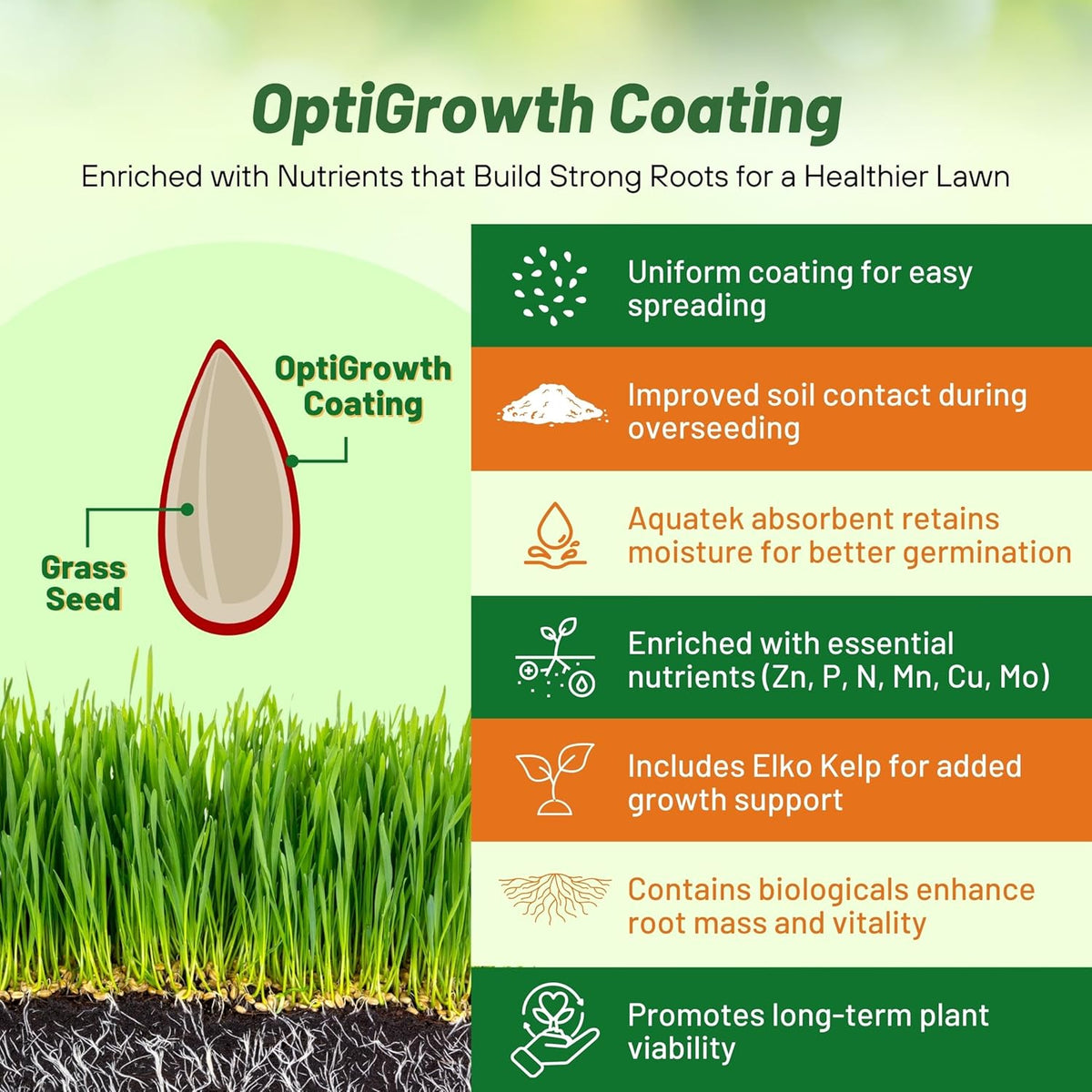 Outsidepride Combat Extreme Southern Zone Grass Seeds for Lawn - 50 lbs. SPF 30 Heat & Drought