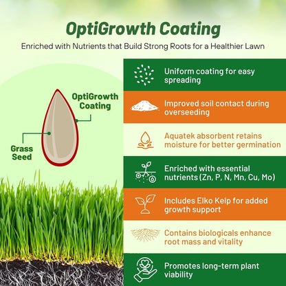Outsidepride Combat Extreme Southern Zone Grass Seeds for Lawn - 50 lbs. SPF 30 Heat & Drought