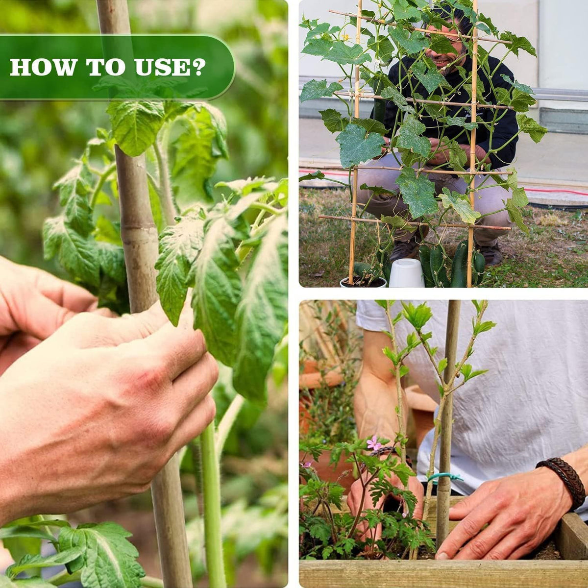 5/8" D 6 Feet Bamboo Stakes 50 Pack, Thicker Heavy-Duty Plant Stakes, Natural Garden Stakes for